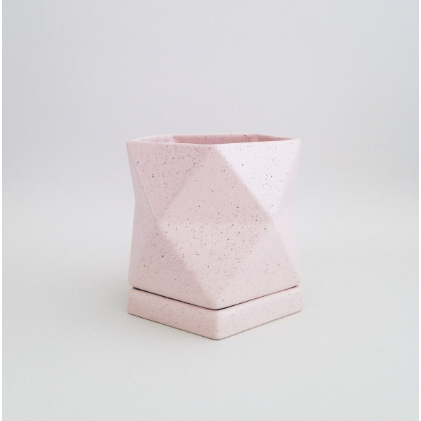 Matte Pink Pot with Plate...