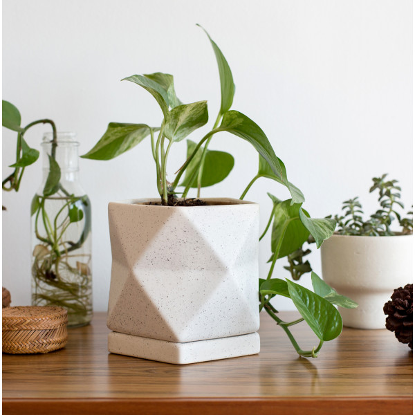 Matte White Pot with Plate...