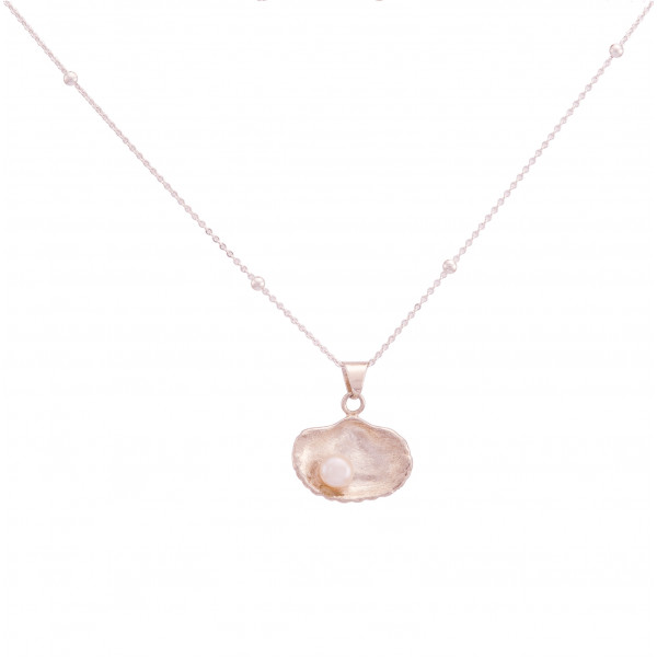 Shell with Pearl Necklace