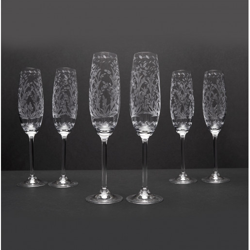 6 Champagne Glasses Set