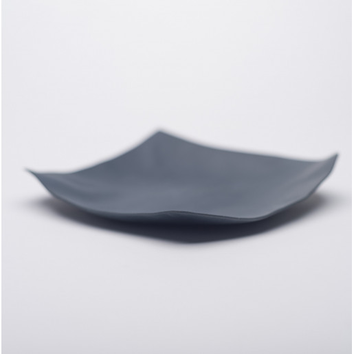 Slip of Paper Plate Small Size
